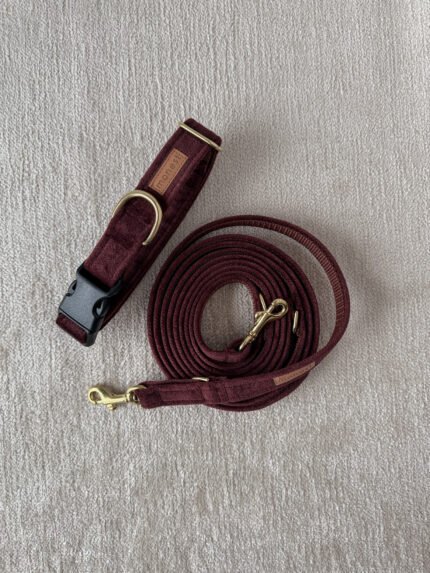 obroża klasyczna merlot