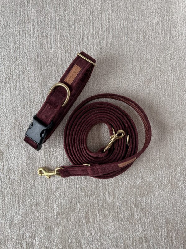 obroża klasyczna merlot