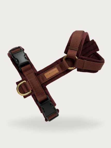 szelki comfort touch merlot